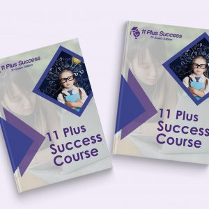 x 2 11 Plus Success Course Ebooks Bundle
